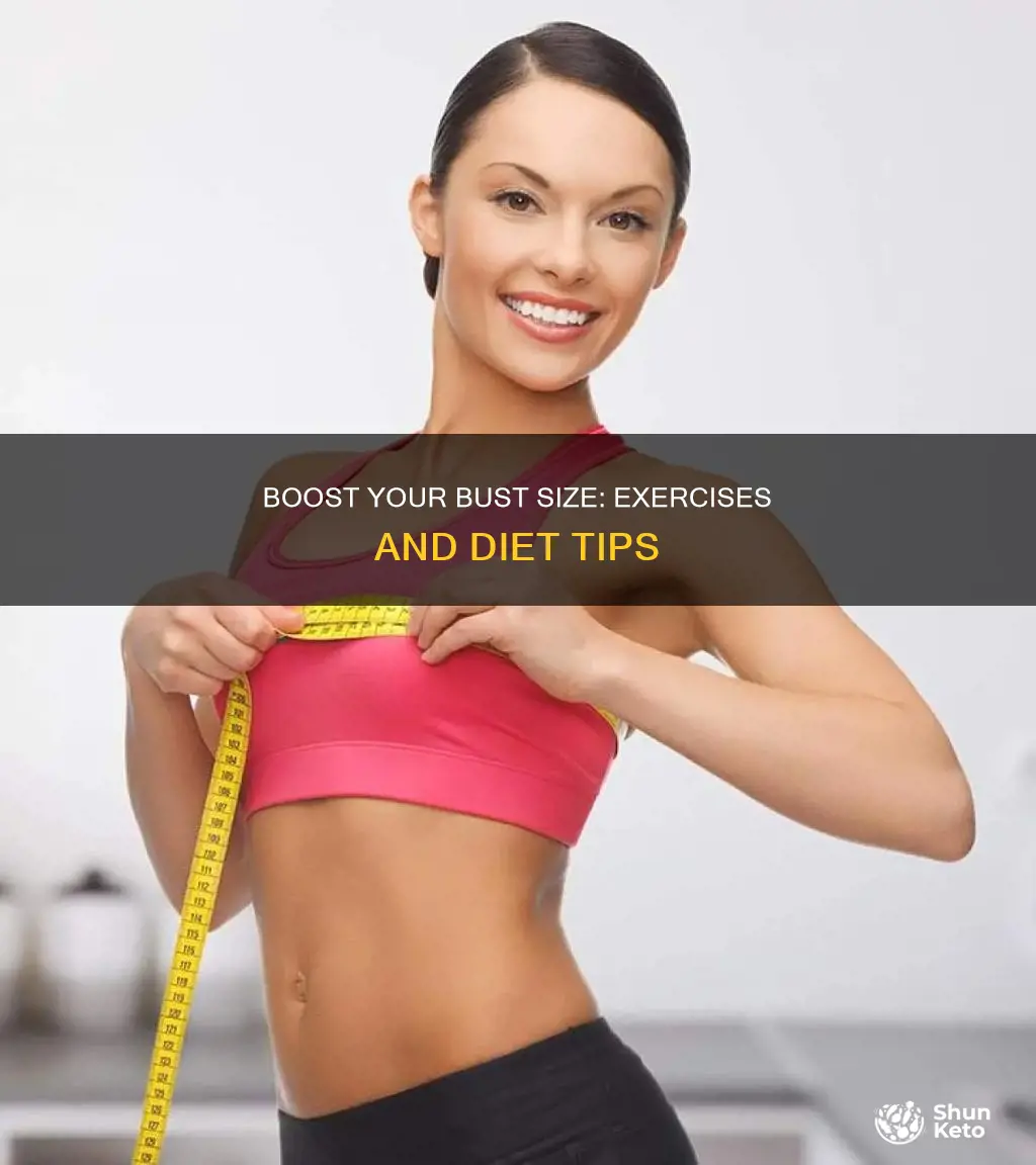 how to increase breast size by exercise and diet