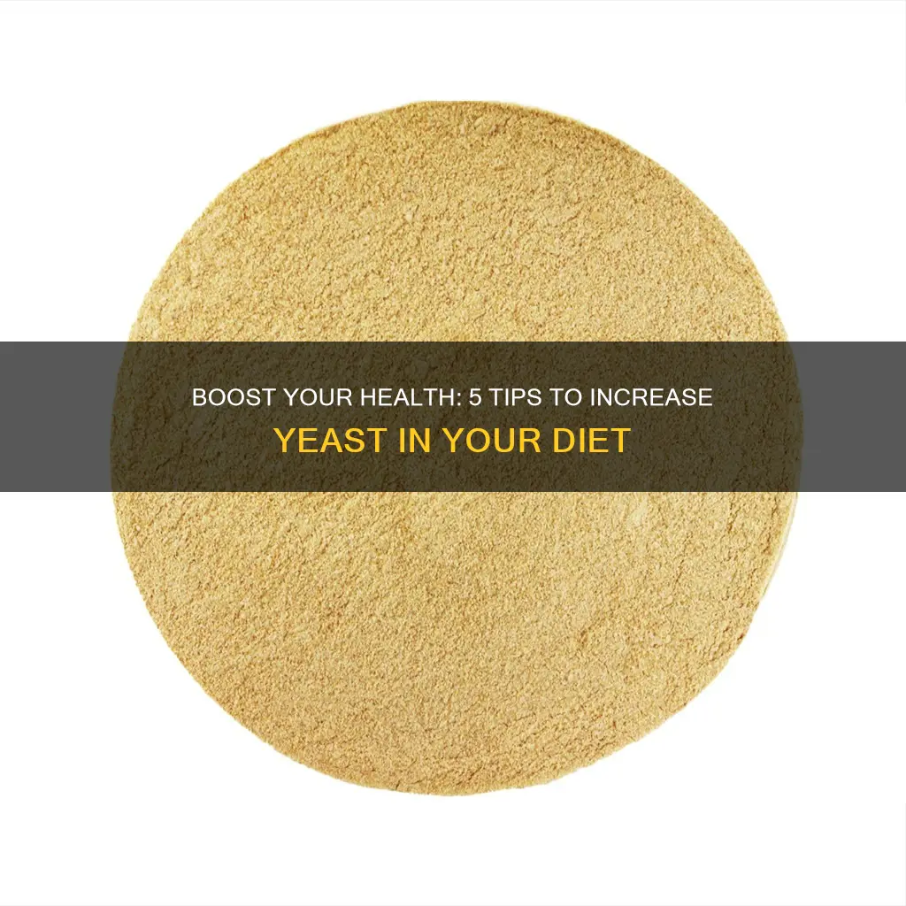 how to increase brewers yeast in diet