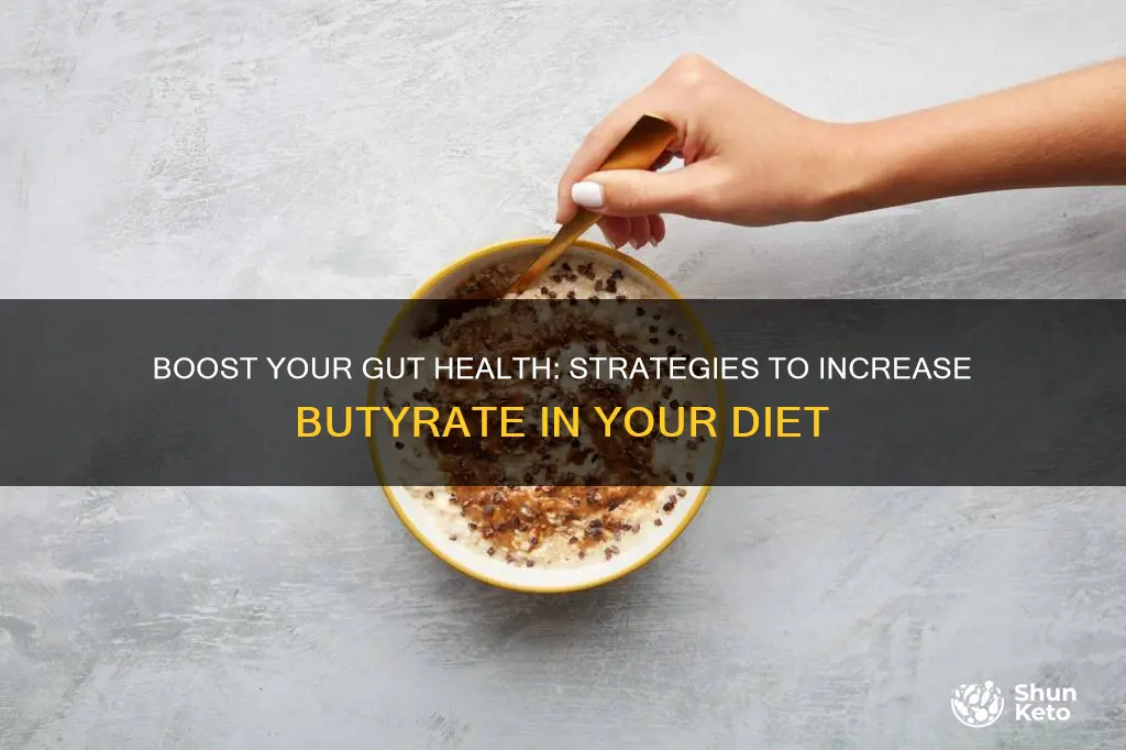 how to increase butyrate in diet