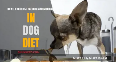 Boosting Calcium and Mineral Intake in Your Dog's Diet