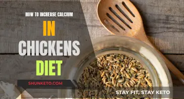 Boosting Calcium: A Guide to Enhancing Chickens' Dietary Intake