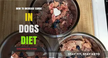 Increasing Carbohydrates in Your Dog's Diet: A Guide