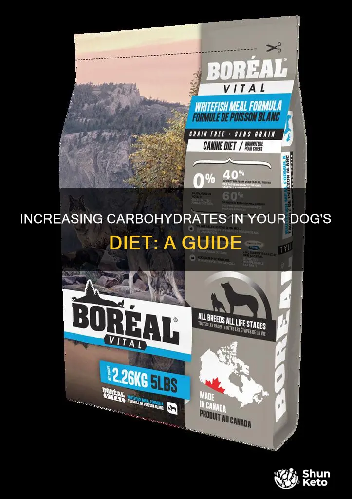 how to increase carbs in dogs diet