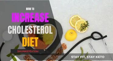 Increasing Cholesterol: A Dietary Guide to Higher Levels