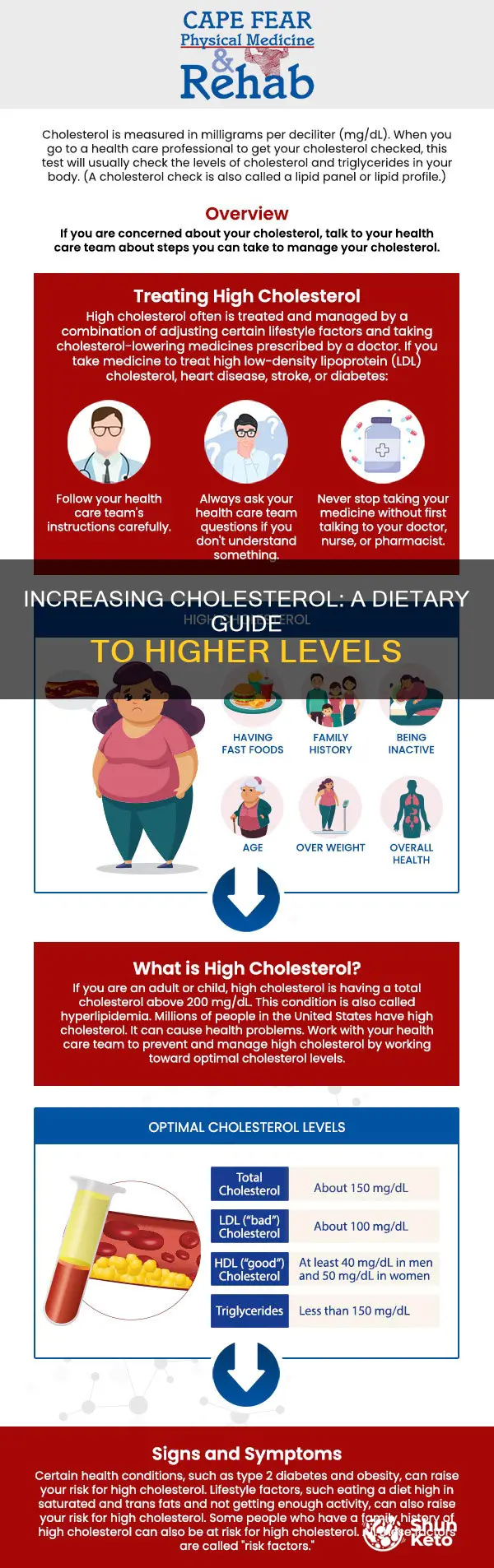 how to increase cholesterol diet