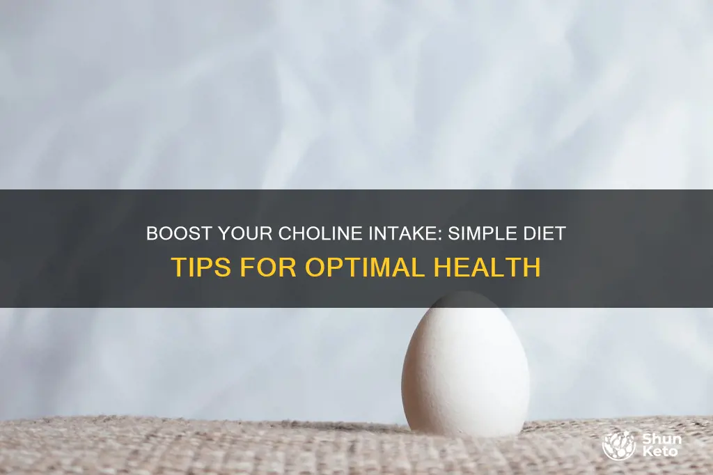 how to increase choline in diet