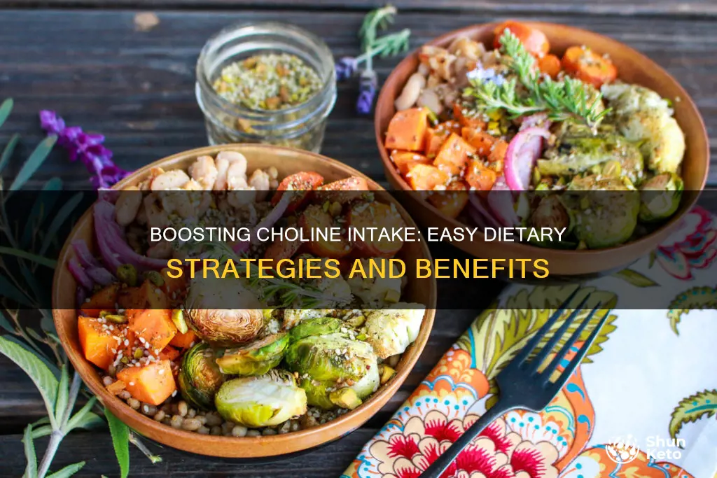 how to increase choline in diet