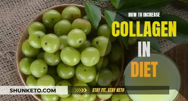 Boost Your Collagen: Top Foods to Include in Your Diet