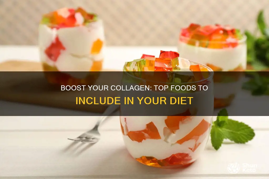 how to increase collagen in diet