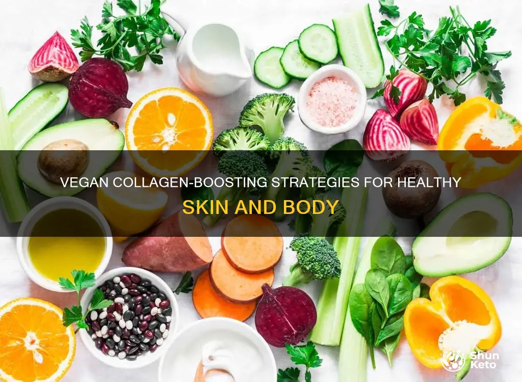 how to increase collagen on a vegan diet