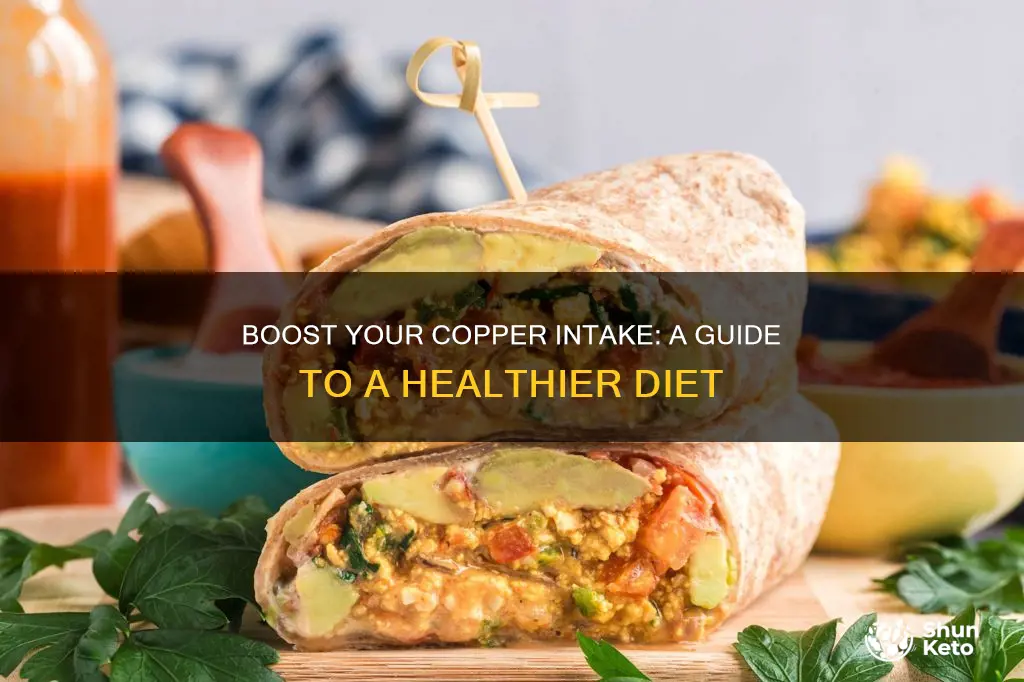 how to increase copper in diet