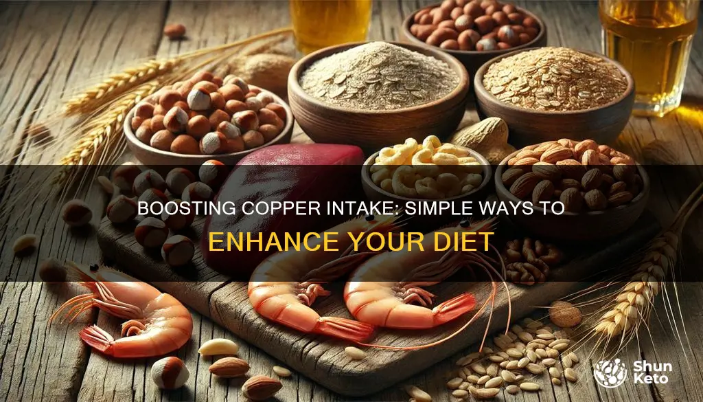 how to increase copper in diet