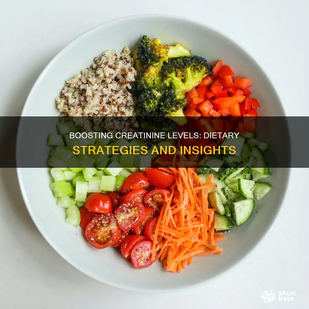 how to increase creatinine through diet
