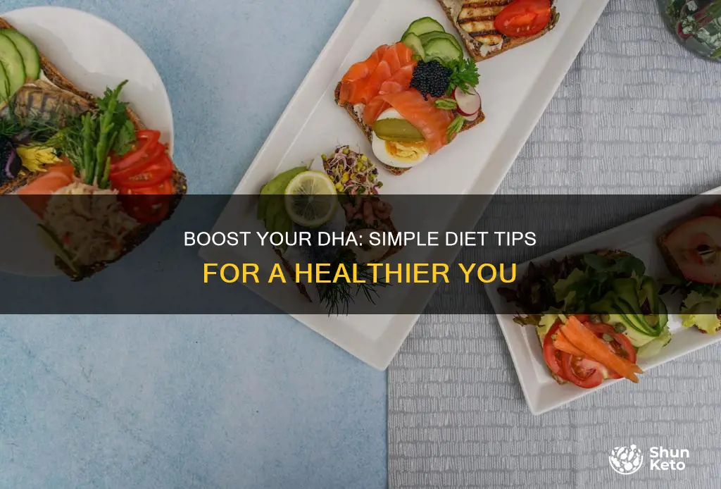 how to increase dha in diet