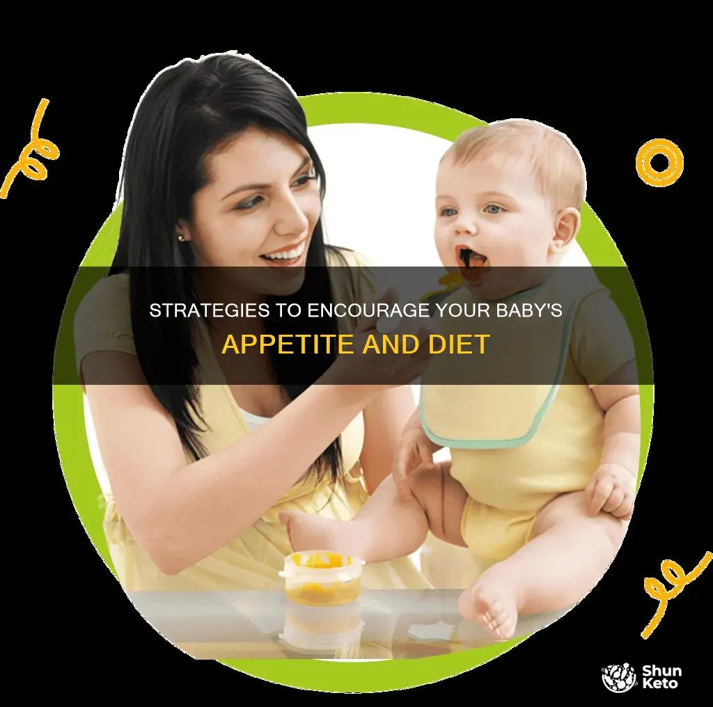 how to increase diet of baby