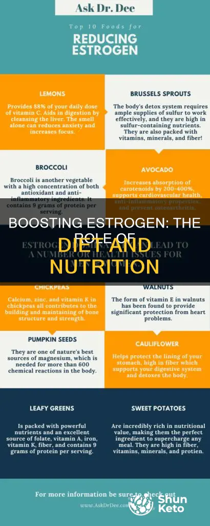 how to increase estrogen diet
