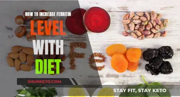 Boost Your Ferritin: Dietary Tips for Optimal Iron Absorption