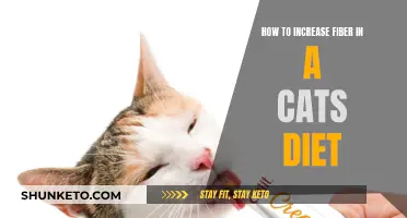 Boost Your Cat's Fiber: A Guide to Healthy Digestion