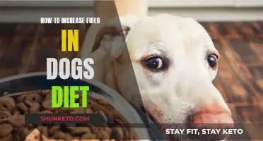 Boosting Fiber in Your Dog's Diet: Tips and Tricks