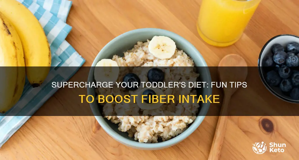 how to increase fiber in toddler diet