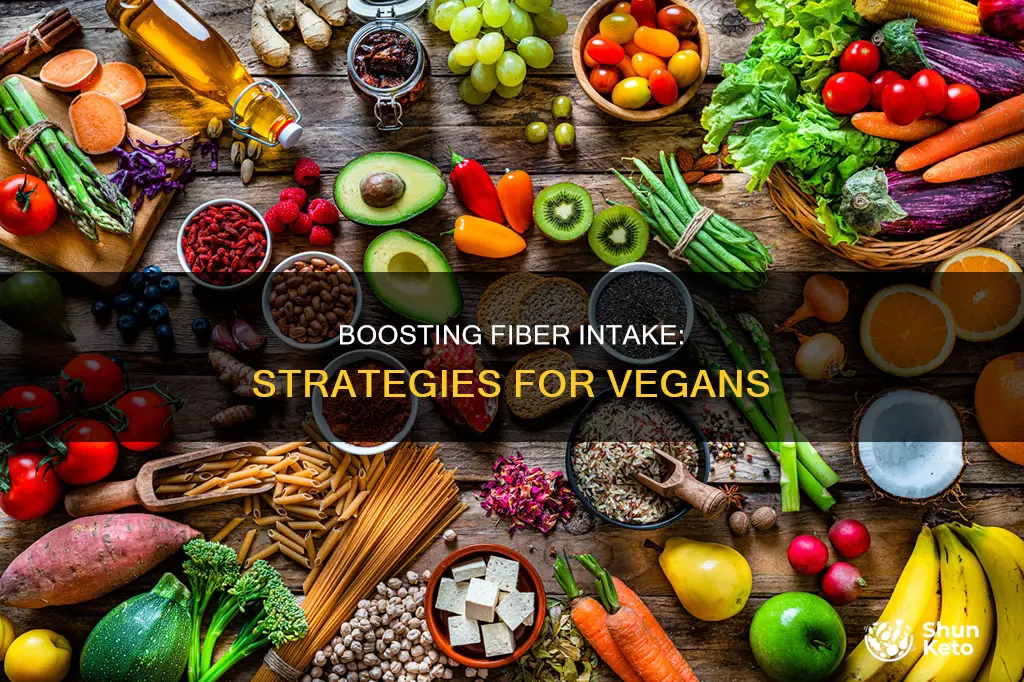 how to increase fiber intake on vegan diet