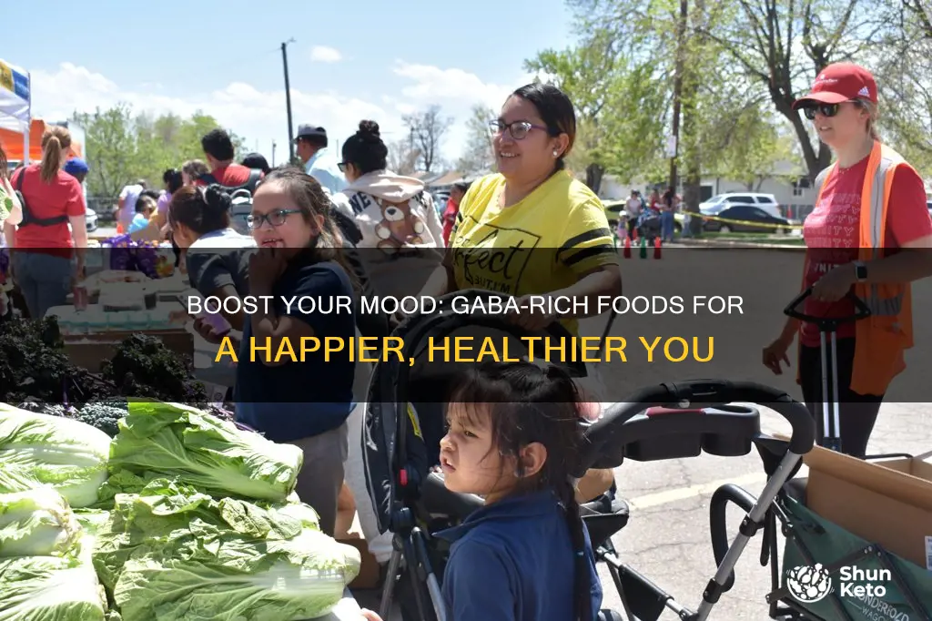 how to increase gaba through diet