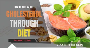 Boost HDL: Dietary Tips for Higher Good Cholesterol