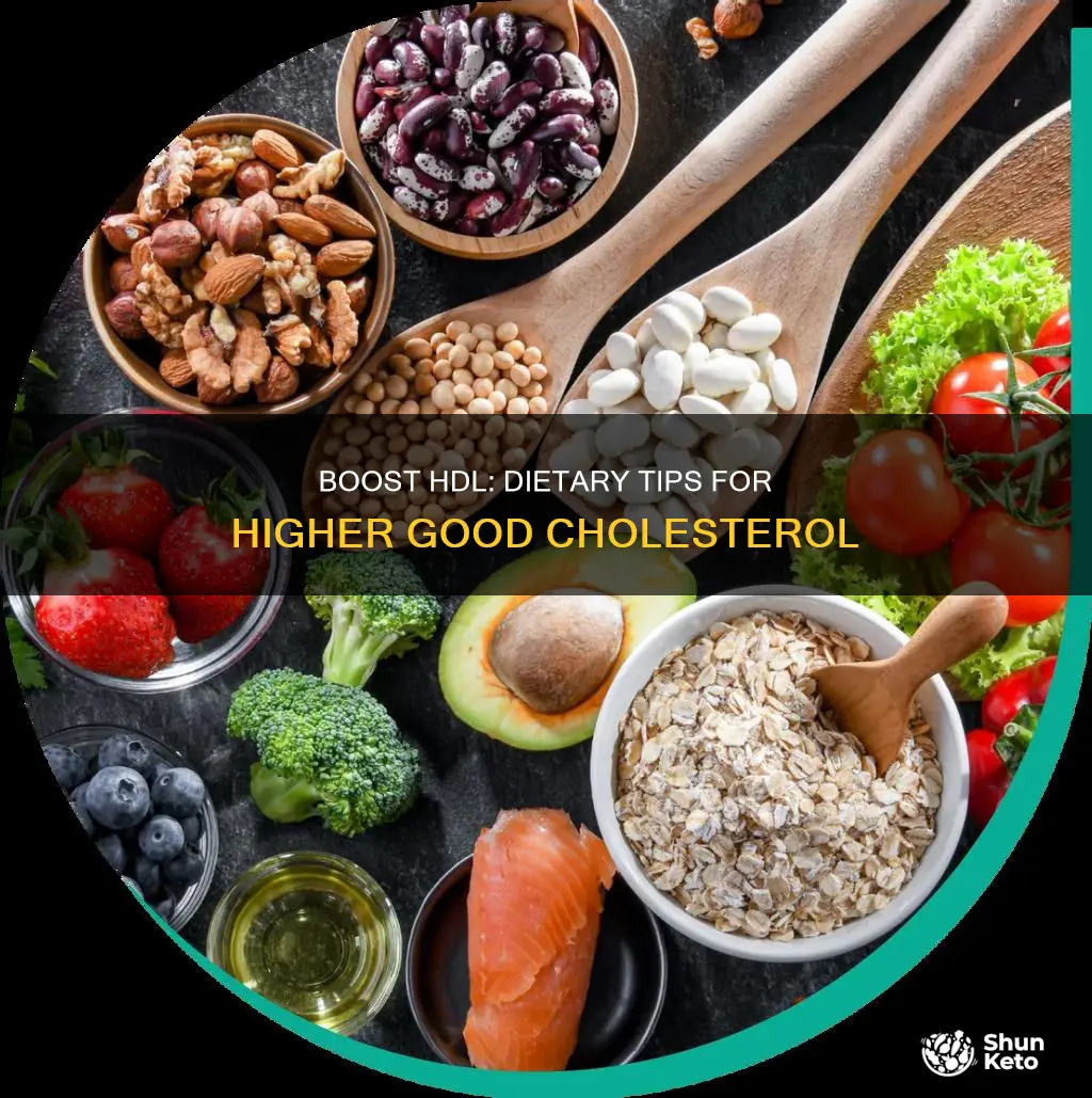 how to increase hdl cholesterol through diet