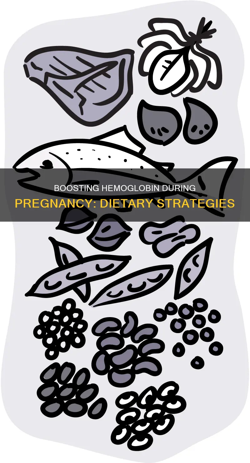how to increase hemoglobin during pregnancy diet