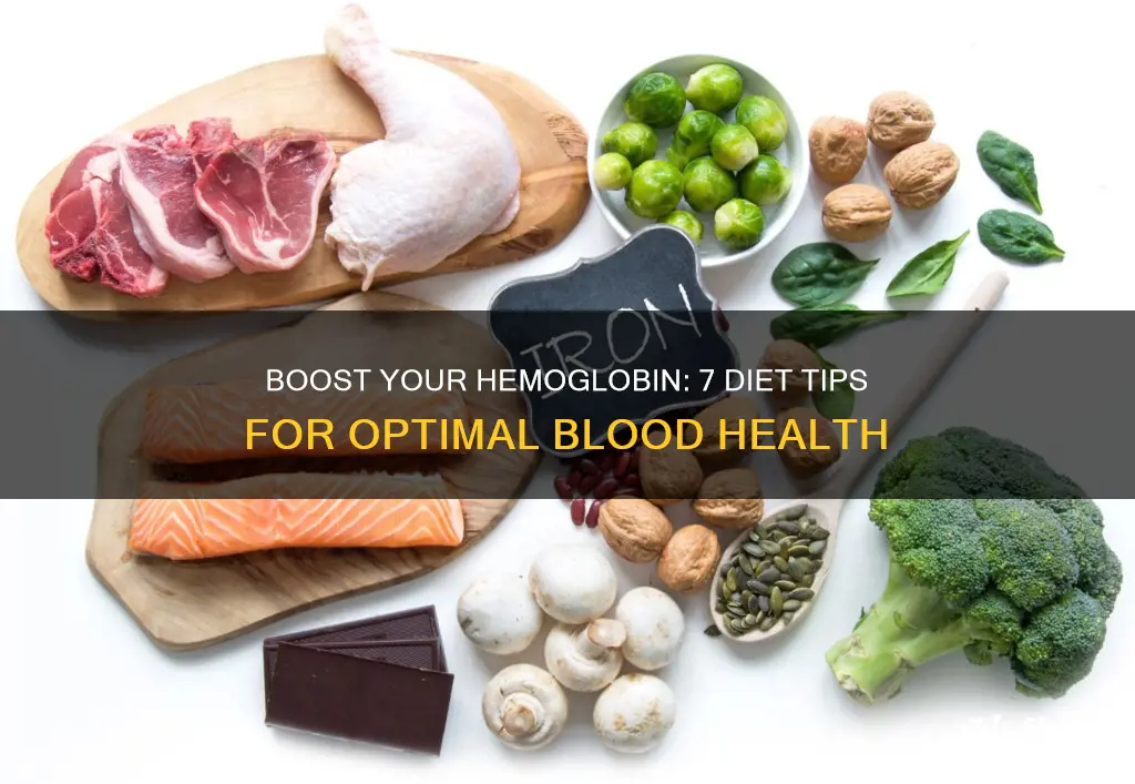 how to increase hemoglobin through diet