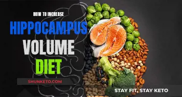 Nourish Your Brain: Dietary Strategies to Boost Hippocampus Volume