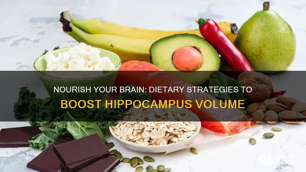 how to increase hippocampus volume diet