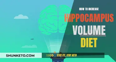 Hippocampus Diet: Increase Volume, Improve Memory and Brain Health
