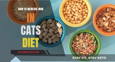 Boosting Your Feline's Iron Intake: A Guide to Healthy Cat Nutrition