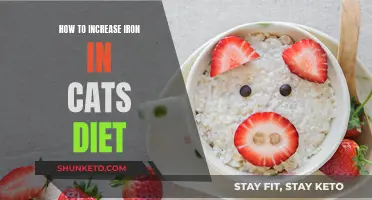 Increasing Iron Intake in Your Cat's Diet
