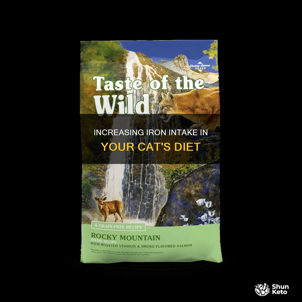 how to increase iron in cats diet
