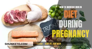 Boosting Iron Intake: A Guide to a Healthy Pregnancy Diet