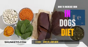 Boosting Iron Intake: A Dog Diet Guide