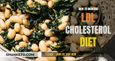 Boosting LDL: Healthy Diet Strategies for Higher Cholesterol