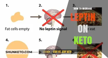 Boosting Leptin Levels: A Comprehensive Guide for Keto Success