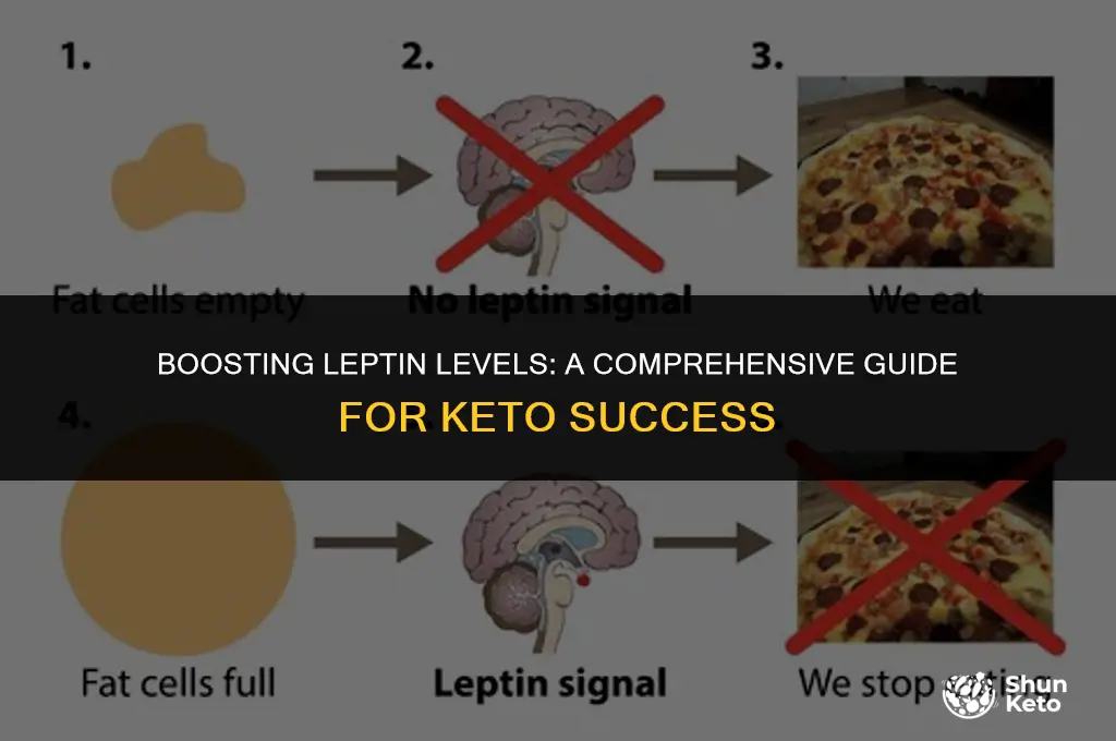 how to increase leptin on keto