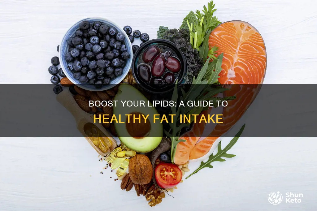 how to increase lipids in diet