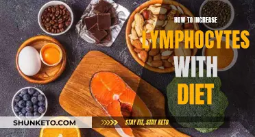 Boost Your Immune System: Dietary Tips for Lymphocyte Production