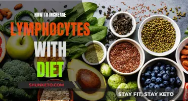 Boost Lymphocytes Naturally: Dietary Strategies for Better Health