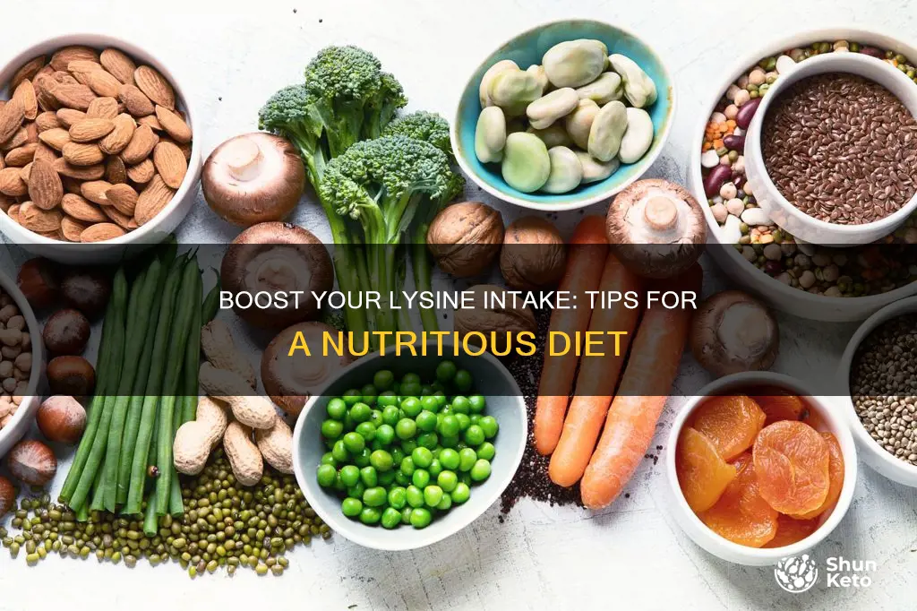 how to increase lysine in diet