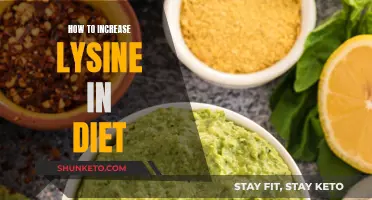 Boosting Lysine Intake: Smart Dietary Strategies for Better Health