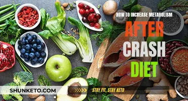 Boost Your Metabolism: Strategies for a Healthy Recovery After a Crash Diet