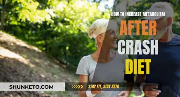 Revving Up Metabolism: Post-Crash Diet Recovery Strategies