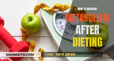 Boosting Metabolism After Dieting: Strategies for Success