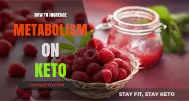Revving Up Your Keto Metabolism: Tips and Tricks for Success
